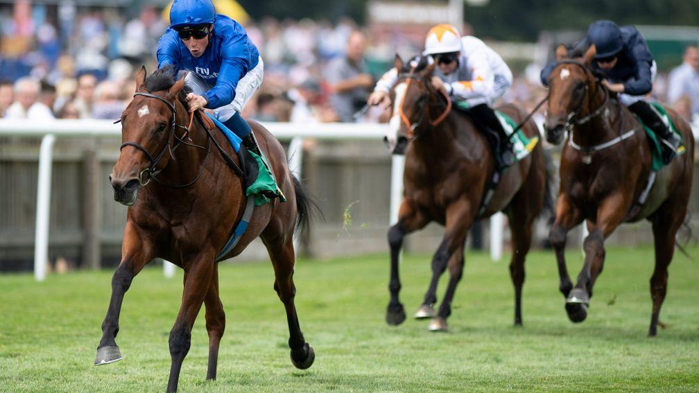Quorto: one of two exciting juveniles this season by Darley's flagship sire Dubawi