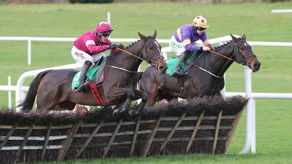 Latest Exhibiton (right) ran with credit when second in the Grade 3 For Auction Novice Hurdle at Navan last month