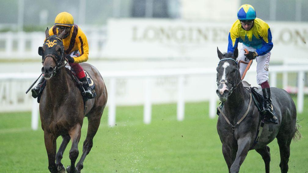 Commonwealth Cup: Campanelle (left) won the race in the stewards' room