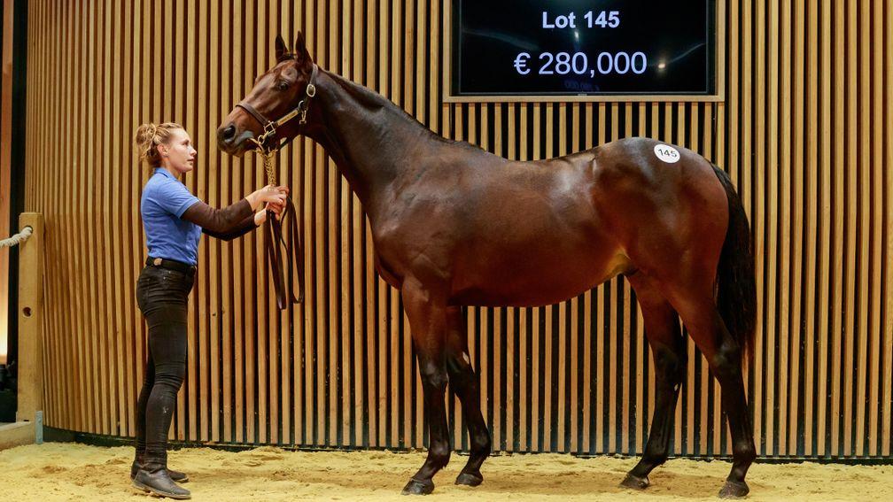 Lot 145, a colt from the first crop of Cloth Of Stars, was sold for €280,000 at Arqana on day one of the October Yearling sale