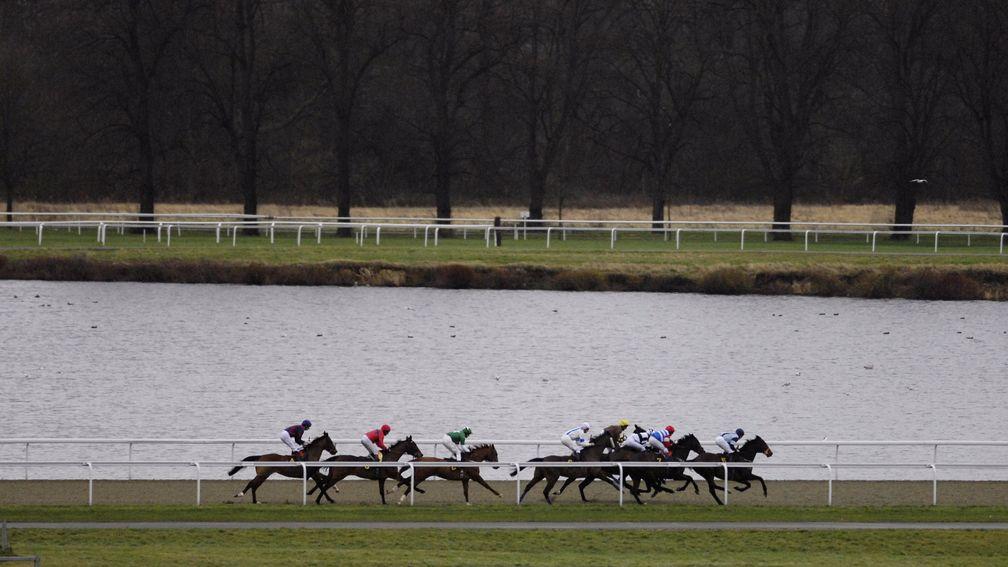 Runners pass by the lake at Kempton