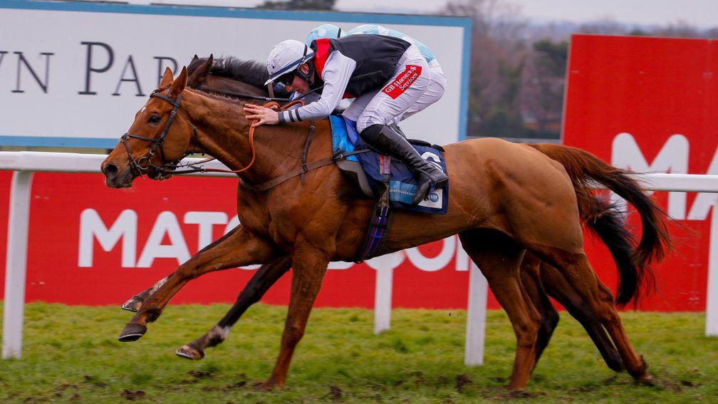 Queenohearts make her debut over hurdles at Chepstow