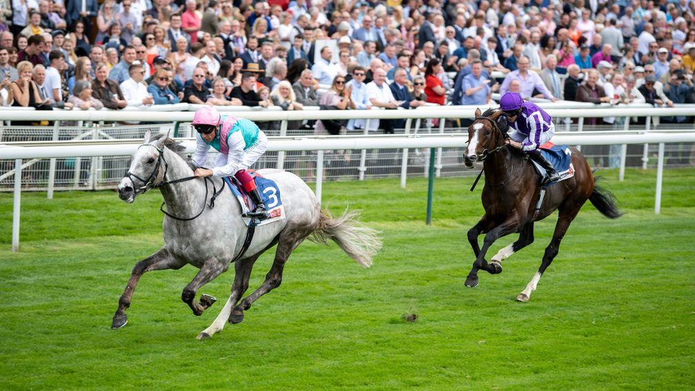Constantinople pictured finishing second to Logician in the Great Voltigeur at York