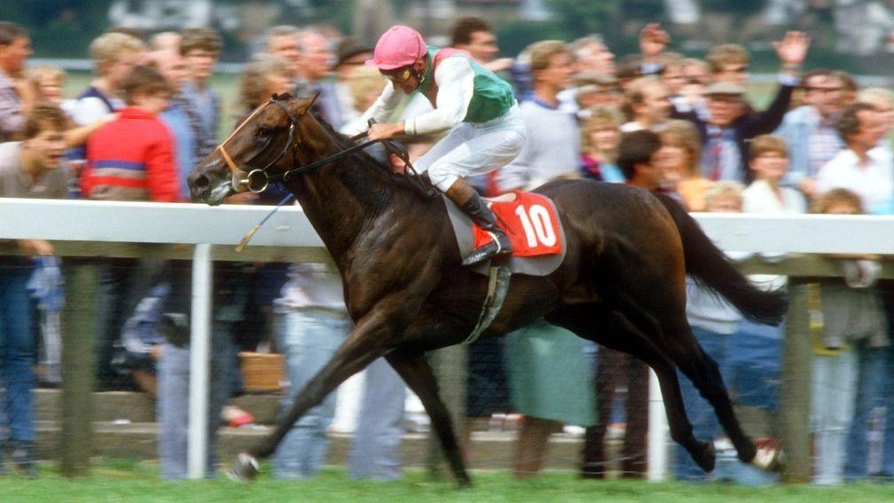 Dancing Brave: bounced back from Derby defeat with impressive win in the Eclipse in 1986