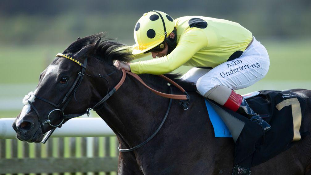 Can Roger Varian win another Derby trial, this time with Royal Champion (pictured)?