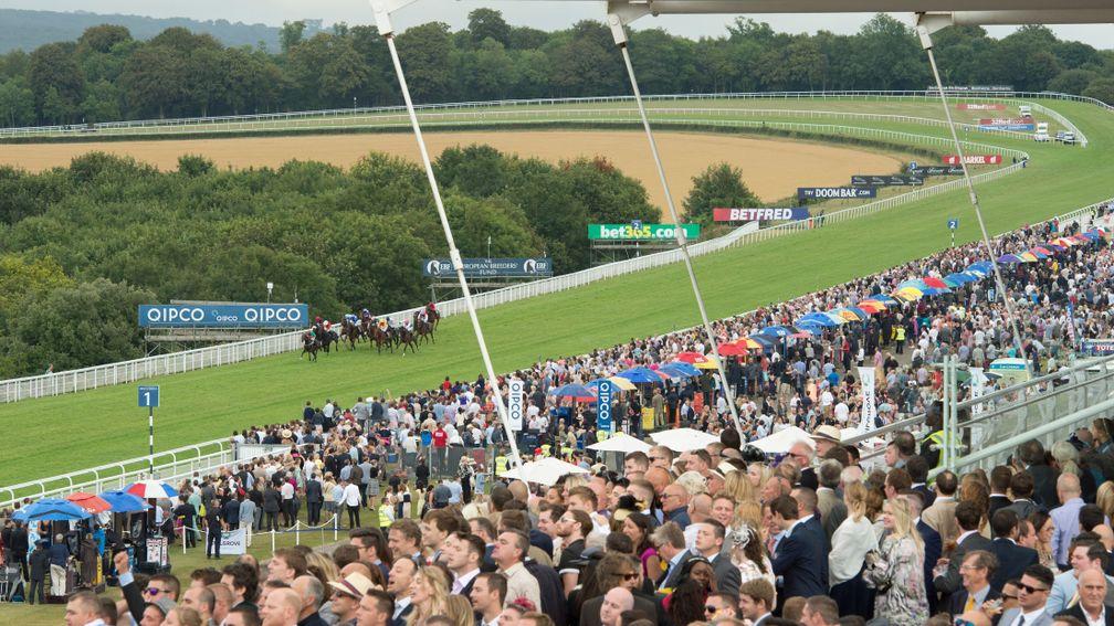 Goodwood: a crowd of 5,000 will be able to attend on the final day of its Glorious meeting