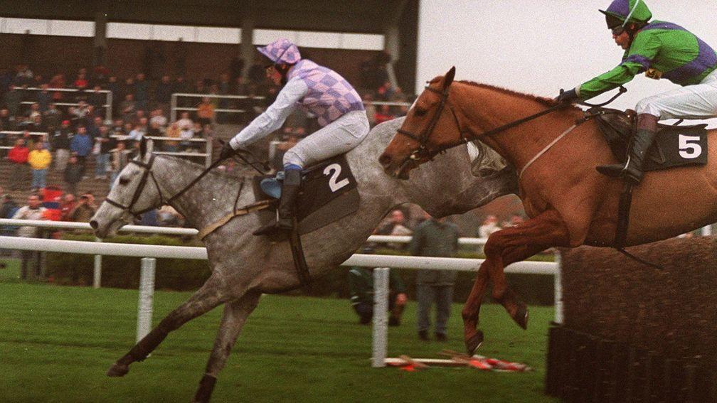 Kingsmark was a fixture in major staying chases for Sir Robert Ogden and Martin Todhunter