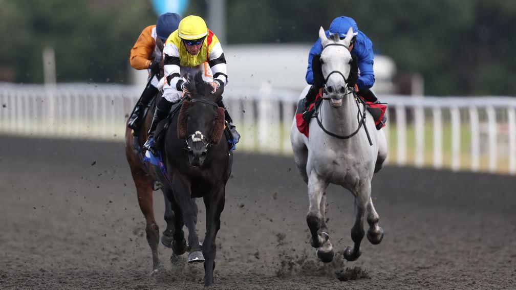 Nao Da Mais (left), a four-time Group 1 winner in South America, strikes at Kempton for the Marco Botti yard