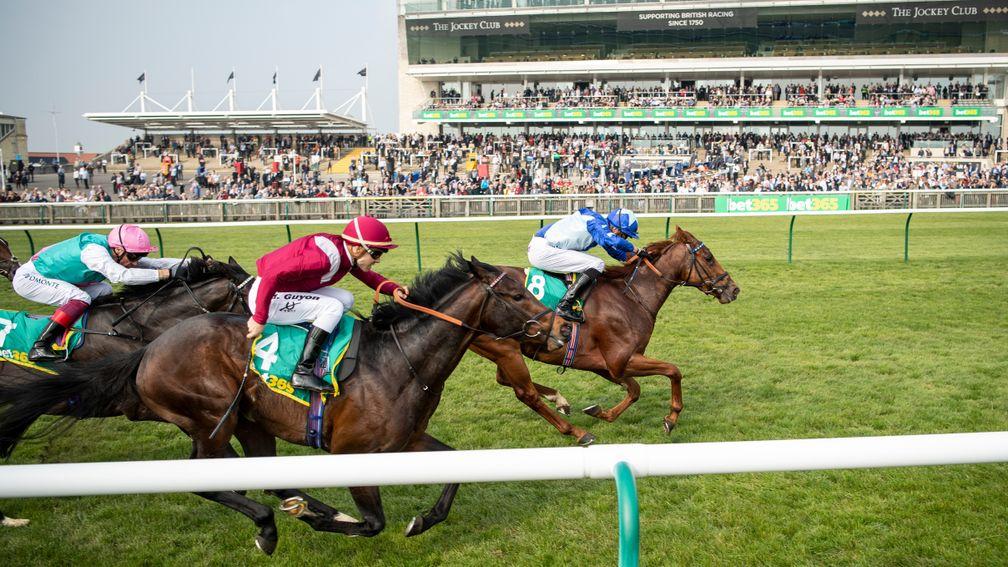 Momkin (maroon silks) chases home Skardu in the Craven Stakes at Newmarket last April