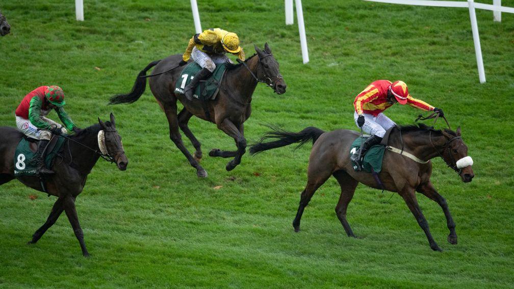 Coole Cody (Tom OâBrien) runs on from the last fence and wins the Paddy Power Gold Cup ChaseCheltenham 14.11.20 Pic: Edward Whitaker/Racing Post