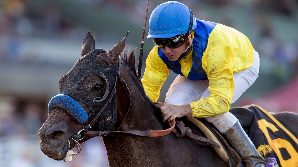 Mubtaahij: 'bred for turf, but he's made like a classic dirt horse'