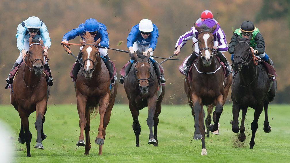 Olmedo (left) gives chase to Happily (purple cap) in the Grand Criterium