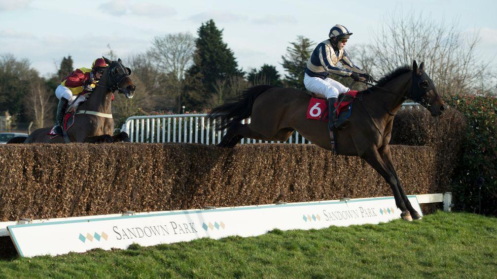 Captain Guy Disney and Rathlin Rose jumps the last fence in style on their way to an emotional success 12 months ago
