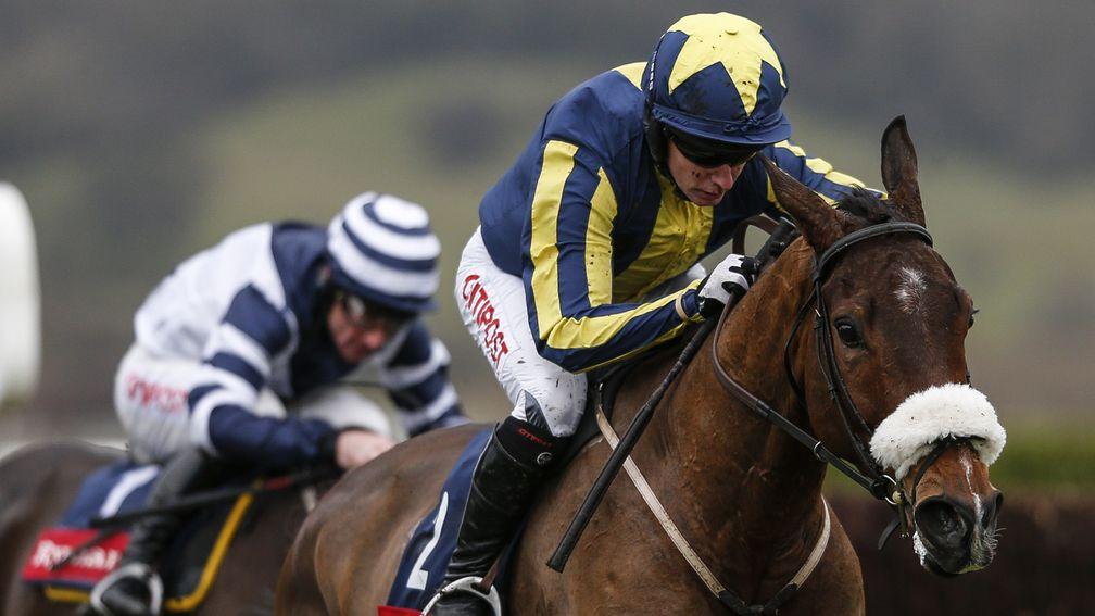 Kalondra: fancied by Neil Mulholland for the Close Brothers Novices' Handicap Chase