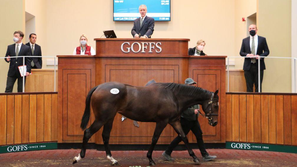 Lot 730: Henry Beeby knocks the Night Of Thunder filly down to Ross Doyle for £72,000