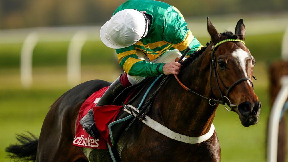 Paul Holden: 'At €140,000, Jonbon was the cheapest horse we ever bought.'