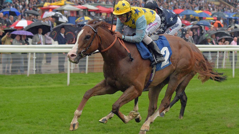 Arcanada, pictured scoring at York in 2016, bids for a hat-trick at Lingfield