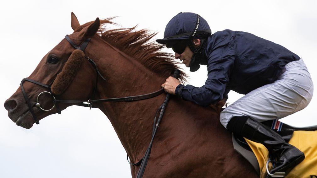 Serpentine: has been entered in the Derby after winning just a 1m2f maiden at the Curragh