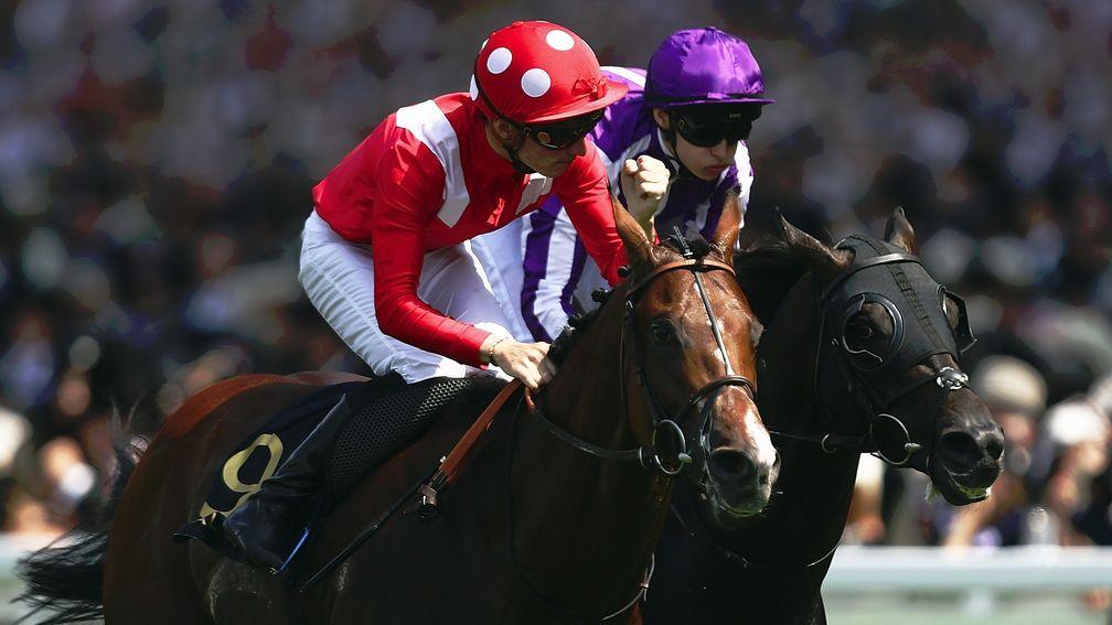 Le Brivido (9): last seen swooping to victory in the Jersey Stakes