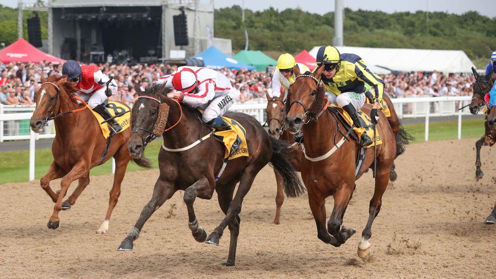 Who Dares Wins denies Dubawi Fifty (right) in an exciting finish to the Northumberland Plate