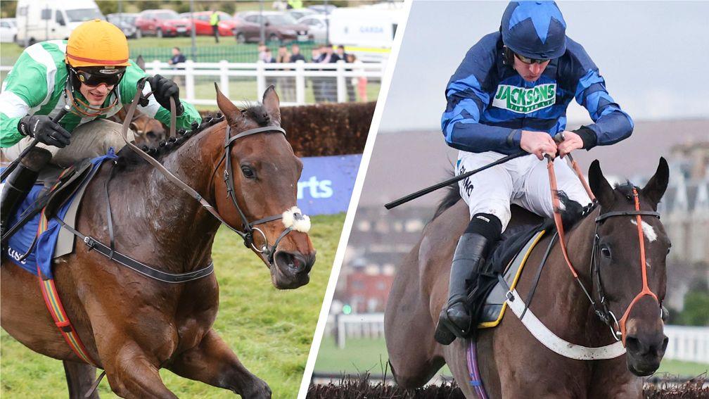 Macdermott (left) and Anglers Crag are prominent in the betting for the Scottish Grand National