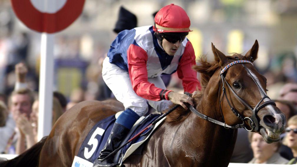 Starcraft wins the Group 1 Queen Elizabeth II Stakes in 2005