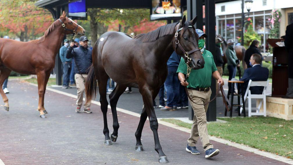 Uncle Mo's hip 1131 was the day's highlight