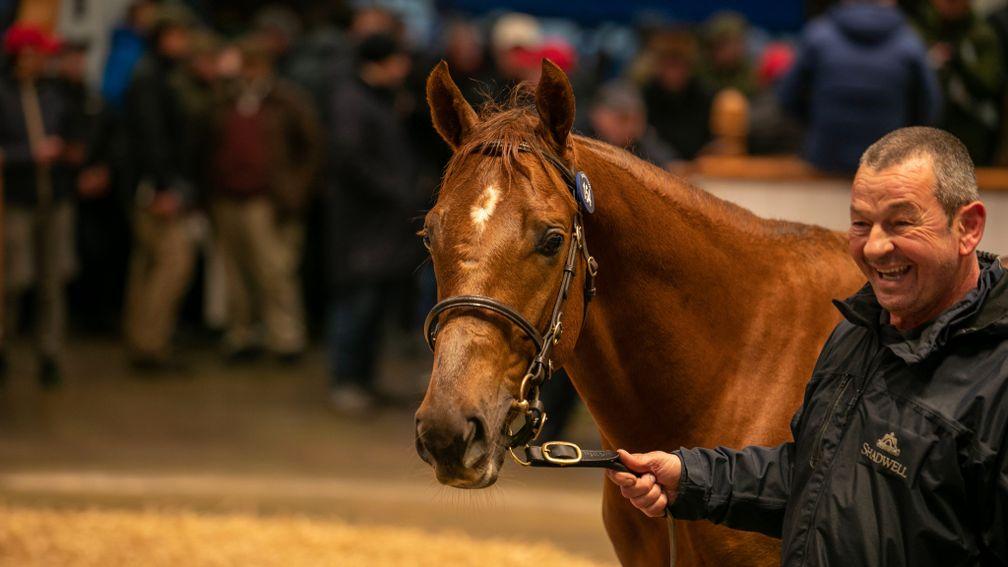 The Dubawi colt out of Fadhayyil sells for 180,000gns
