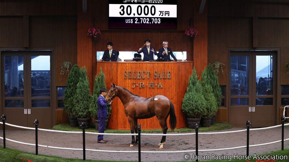 Northern Farm's Deep Impact colt sells to Yuji Hasegawa for ¥300-million at the JRHA Select Sale