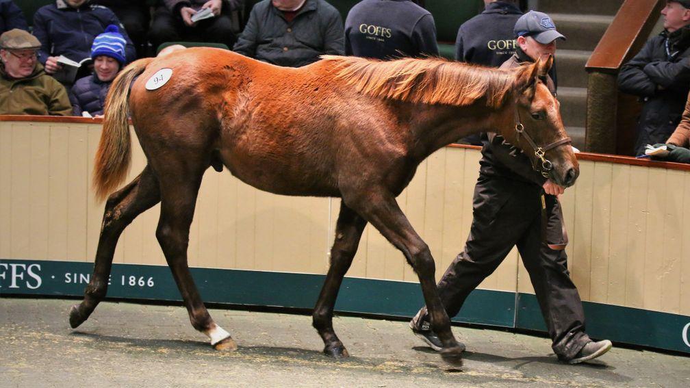 The Mastercraftsman colt out of Village Queen who went the way of Peter Nolan for €68,000
