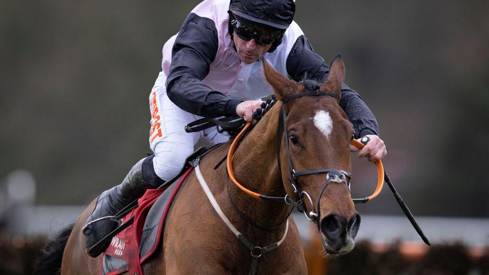 Teahupoo: has now won eight of his 11 starts over hurdles