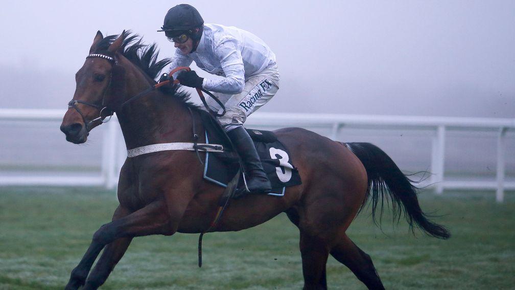 Brain Power: heavily supported to beat Un De Sceaux at Ascot on Saturday
