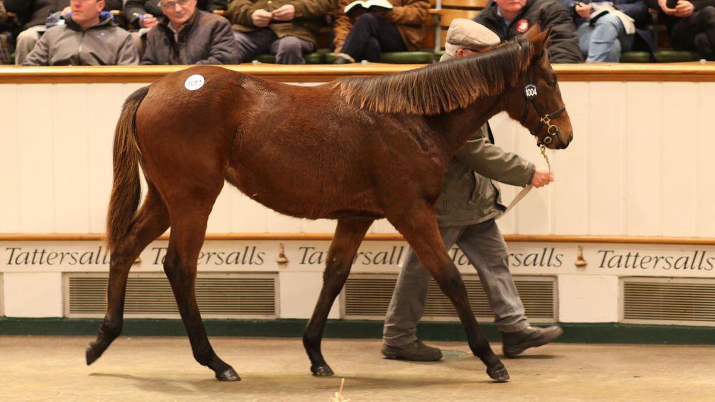 The Invincible Spirit filly out of Liscune brings 440,000gns from Woodford Thoroughbreds