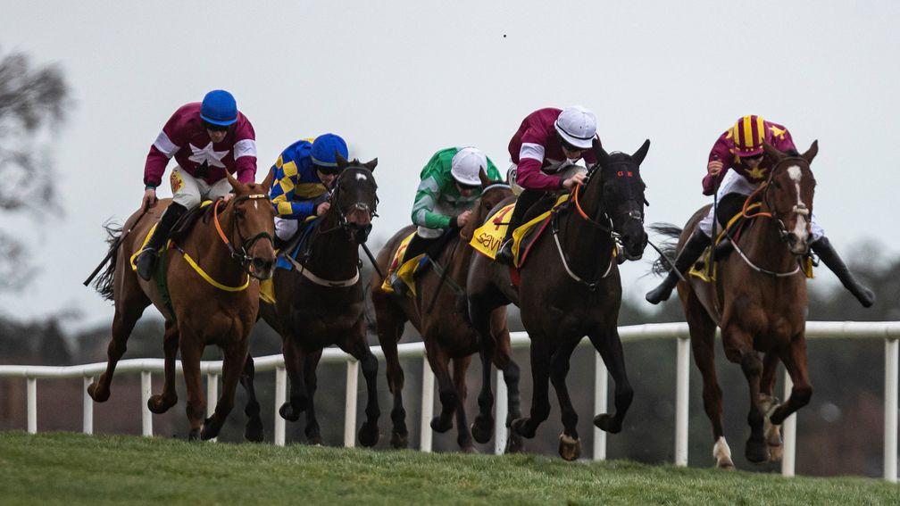 Last year's winner Delta Work (second right), Kemboy (second left) and Presenting Percy (green) renew rivalry in the Savills Chase