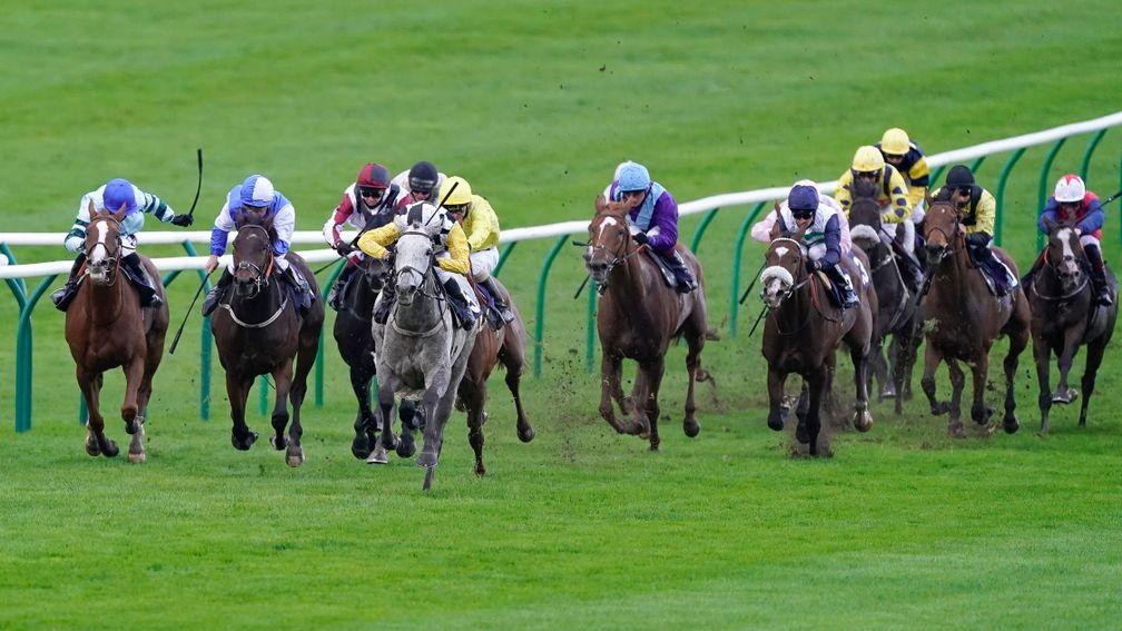 Great White Shark (yellow sleeves) goes clear in the biggest staying handicap of the year on the Flat, the Cesarewitch