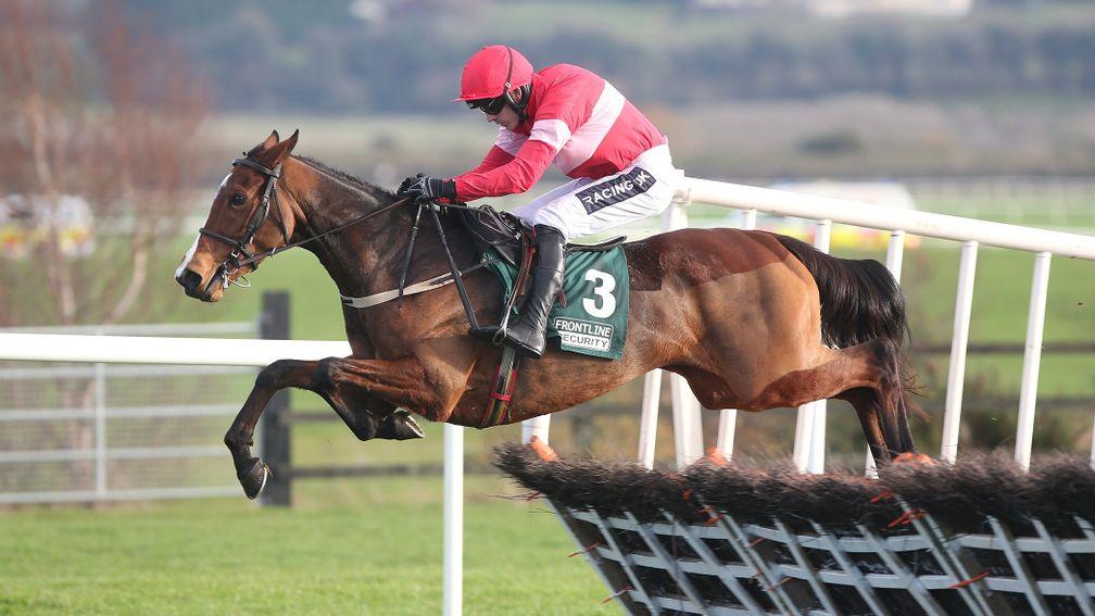 Stormy Ireland is one of five Willie Mullins runners in the Prix La Barka at Auteuil on Sunday