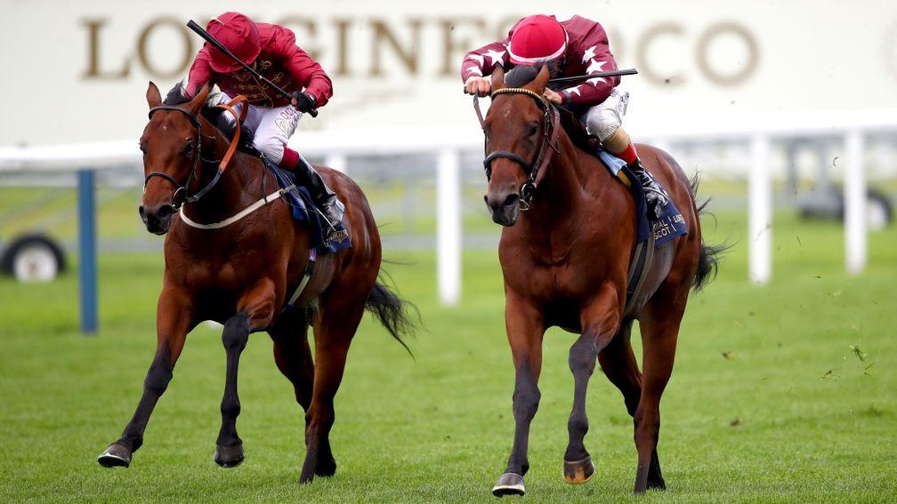 Golden Pal (right) finished second to The Lir Jet in Norfolk Stakes in 2020