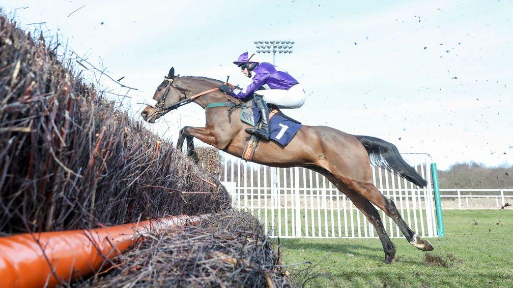 Lady Buttons: Listed winner at Doncaster on Saturday could be aimed at the Champion Chase