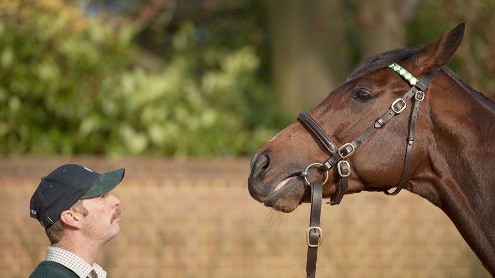 Frankel: had his first runner in Australia on Wednesday
