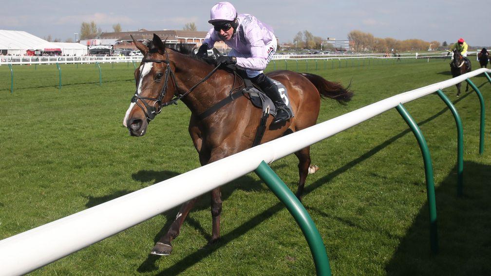 Born Survivor: one to watch if taking up his engagement at Newbury on Saturday