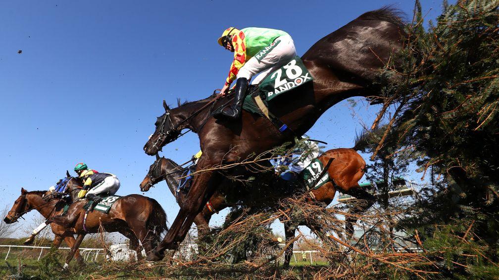 Saint Are is an old hand at jumping the National fences
