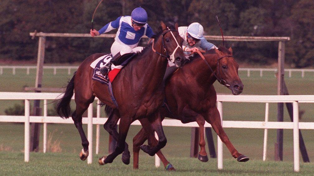 Dr Devious (far side) gets the better of old adversary St Jovite in the 1992 Irisih Champion Stakes