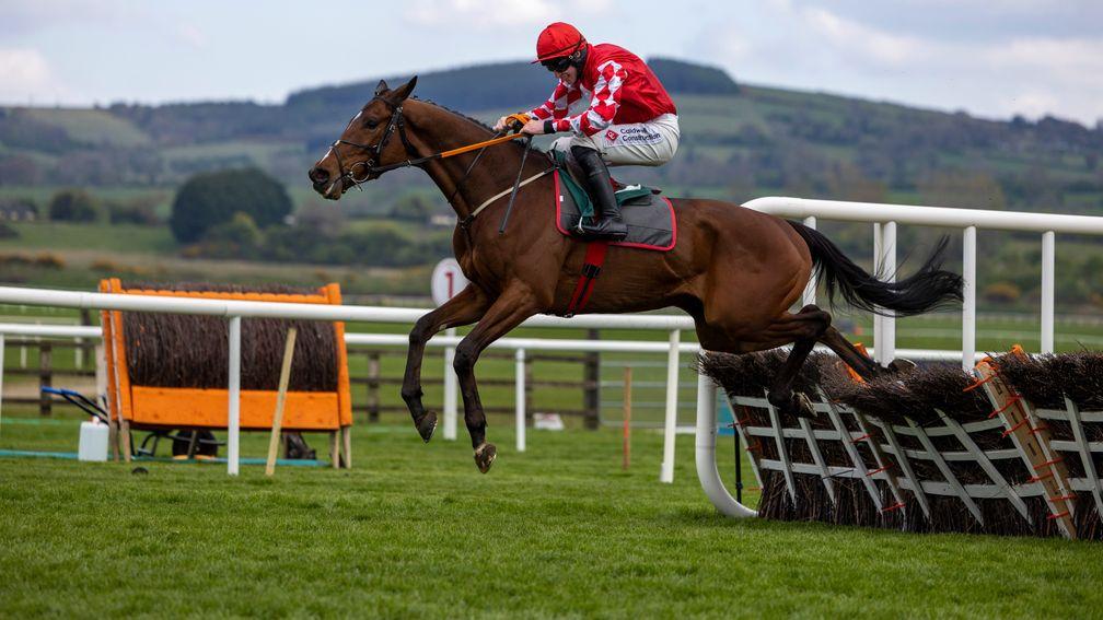 Mighty Potter and Jack Kennedy clearing the last when winning the Bective Stud Champion Novice Hurdle (Gr.1)Punchestown FestivalPhoto: Patrick McCann/Racing Post26.04.2022