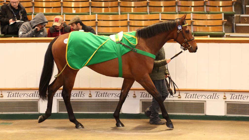 Lot 293: the sale-topping Kodiac filly in the ring before being knocked down to Daniel Creighton for 150,000gns