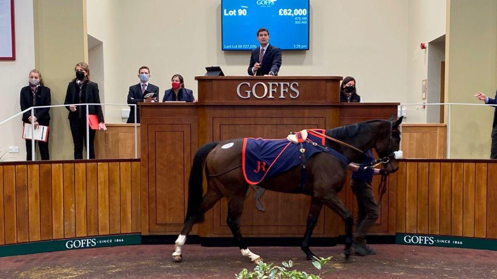 Platinumcard: tops the Goffs UK December HIT Sale when selling to Tom Malone for £62,000