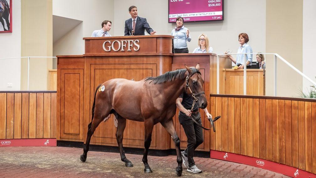 The record-breaking Kingman colt sells to Coolmore for £440,000 at Goffs UK