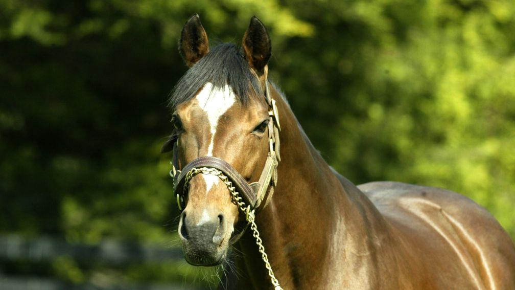 Galileo: on the verge of matching Sadler's Wells' tally of 73 Group/Grade 1 winners