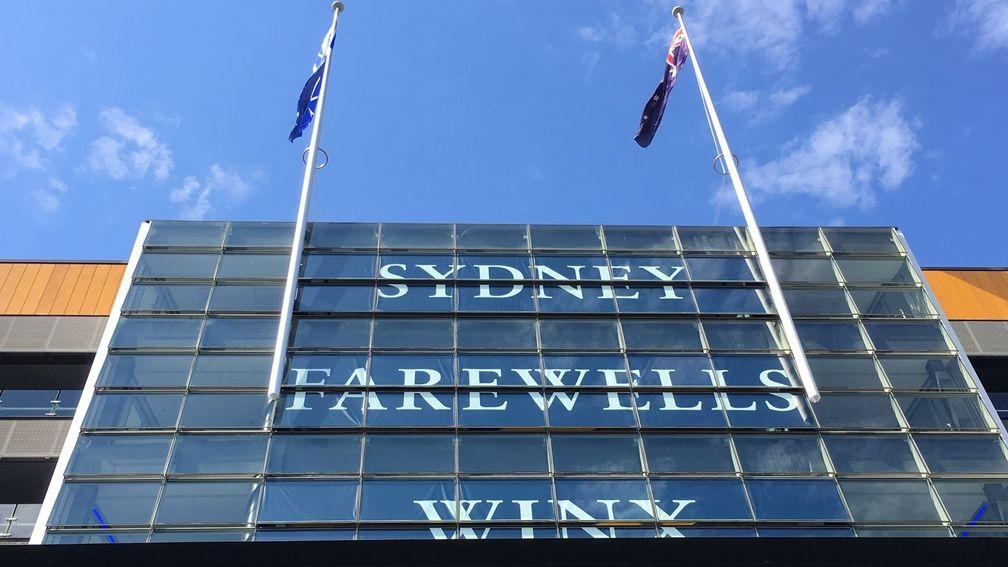There was no way of missing who was the star of the show at Randwick, where a Winx flag flew alongside that of Australia.