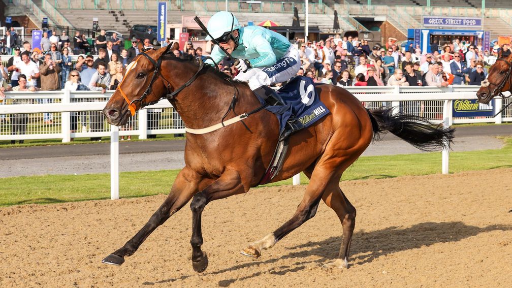 Paul Mulrennan gatecrashes the Sky Sports Racing party on Saluti