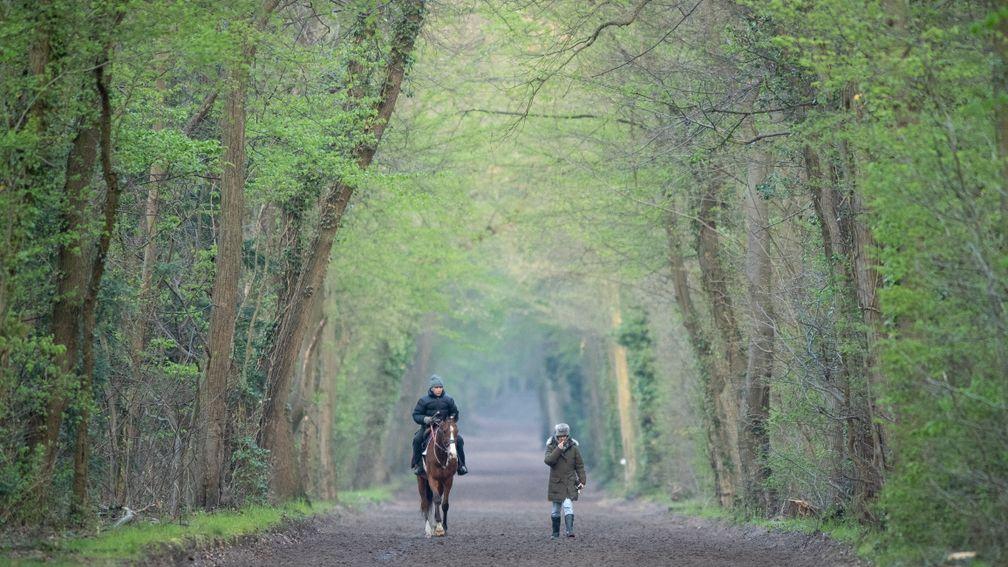 Andre Fabre and wife Elisabeth debrief the morning's work in the forest adjacent to les Aigles gallops in Chantilly